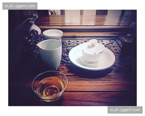 袁悦网前嗅觉敏锐 中国选手适时来到网前施加压力